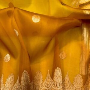 Banarasi organza