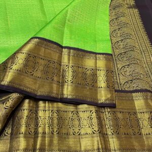 Parrot Green With Black Kanjivaram Silk Saree