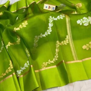 Beautiful Pure Banarasi kora organza silk saree In Neon Green