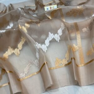 Beautiful Pure Banarasi kora organza silk saree In Ash