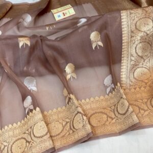 Beautiful Pure Banarasi organza silk saree In Beige