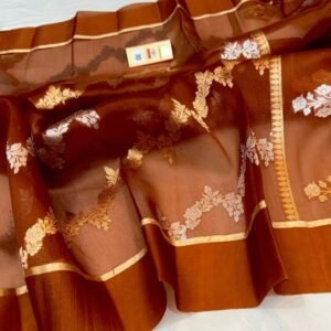Beautiful Pure Banarasi kora organza silk saree In Rust Orange