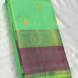 Sea Green Kanchipuram silk Saree