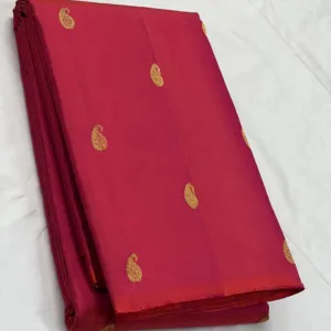 Red Borderless Kanchipuram silk Saree