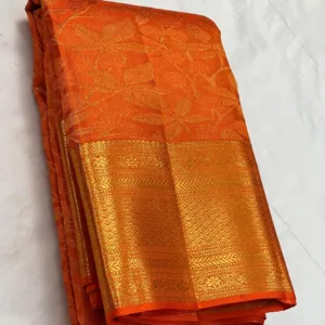 Beautiful Orange Kanchipuram silk Saree