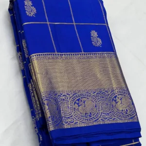 Blue Kanchipuram silk Saree