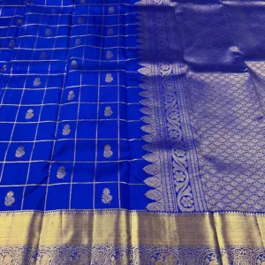 Kanchipuram silk Saree