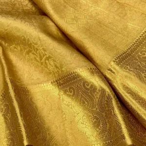 Kanchipuram Silk Saree In Full Gold