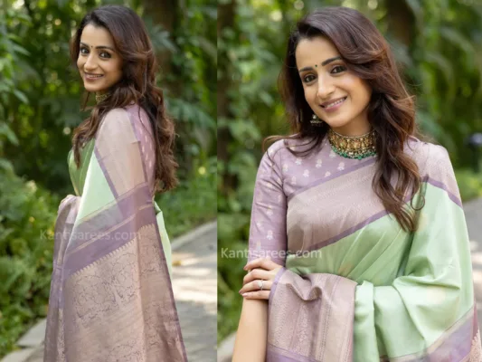TRISHA KRISHNAN 6