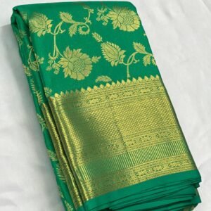 Kanchipuram Silk Saree In Spring Green