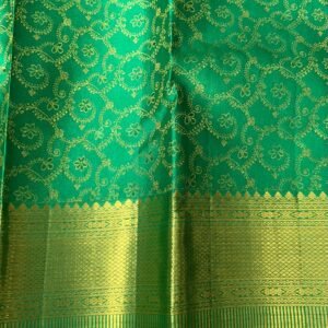 Kanchipuram Silk Saree In Spring Green