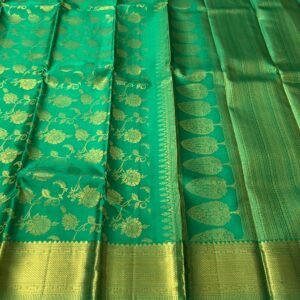 Kanchipuram Silk Saree In Spring Green