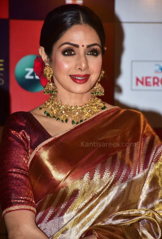 Sridevi in Kanjivaram Saree: A at Zee Cine Awards 2018 Timeless Elegance 2 Sridevi in Kanjivaram saree