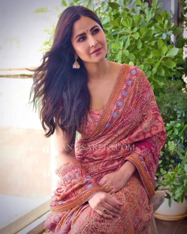 Katrina Kaif in Partywear Designer Silk Saree 