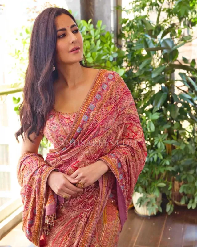 Katrina Kaif in Partywear Designer Silk Saree 