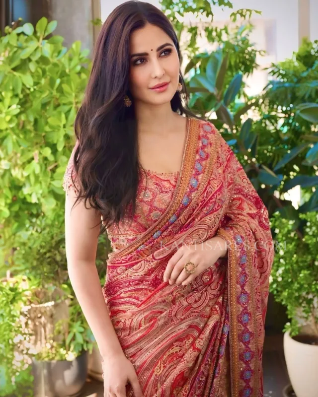 Katrina Kaif in Partywear Designer Silk Saree 