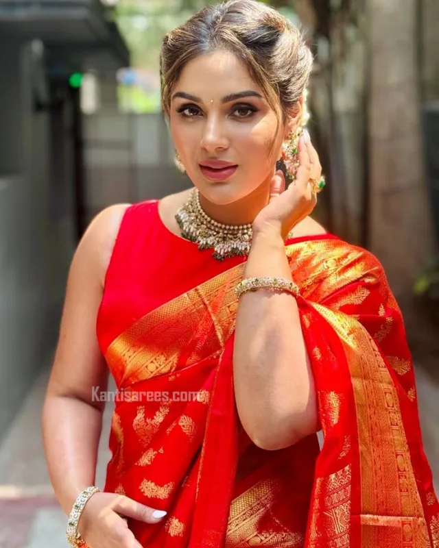 Samyuktha in Kanjivaram Silk Saree 