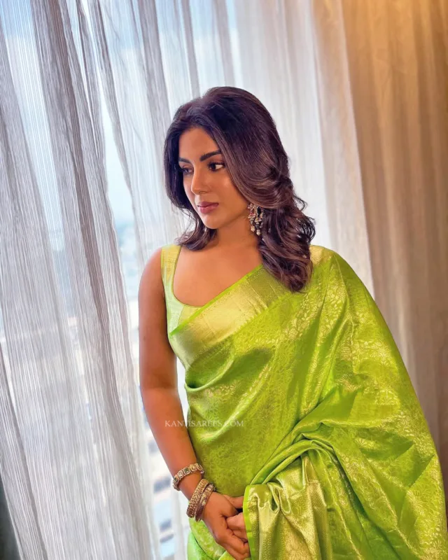 Samyuktha in Kanchipuram Silk Saree 