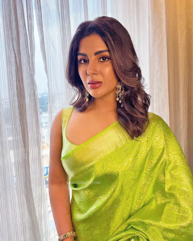 Samyuktha in Kanchipuram Silk Saree 