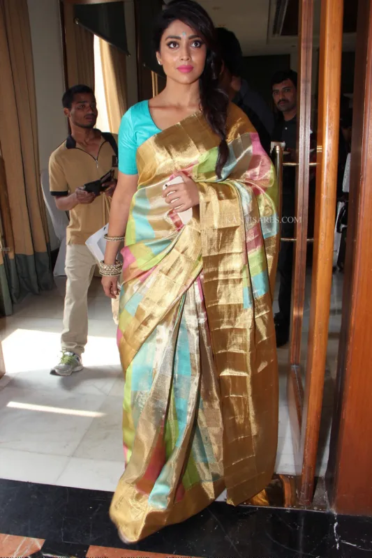 Shriya in Kanjivaram Silk Saree 