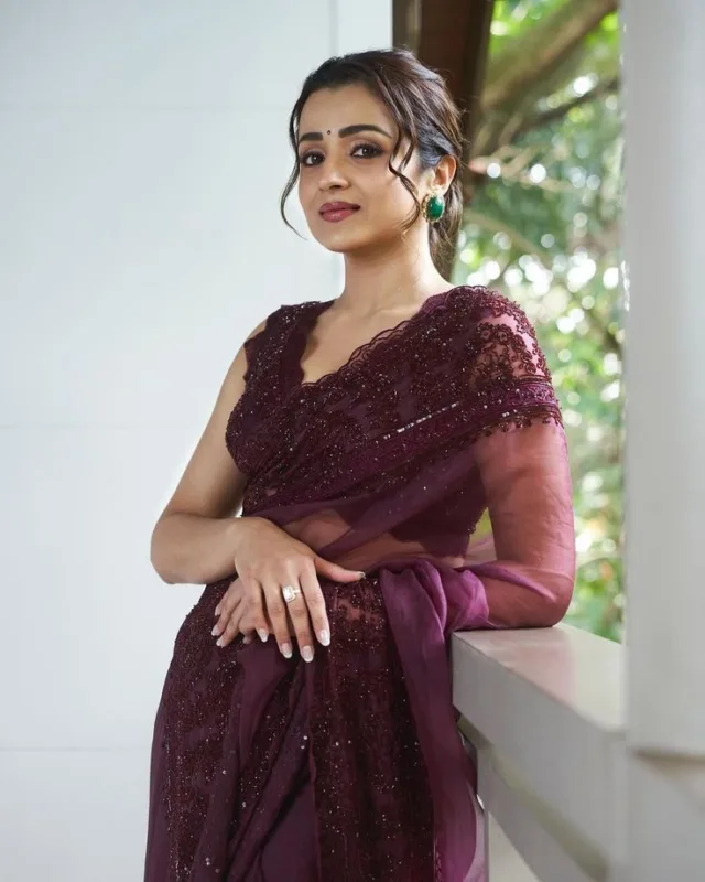 Trisha Krishnan in Organza Silk Saree: Coffee Brown Elegance That Redefines Modern Grace 6 Trisha Krishnan