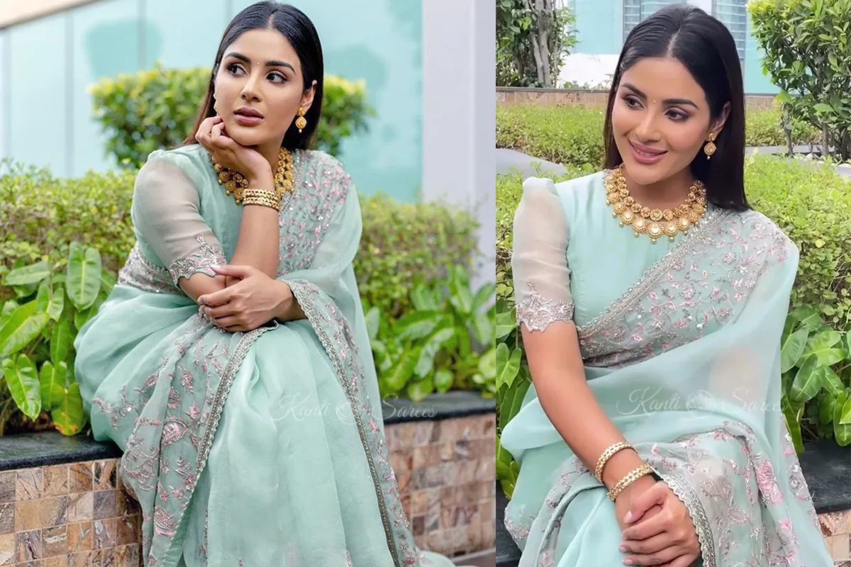 Celebrity High Neck Blouse Designs 