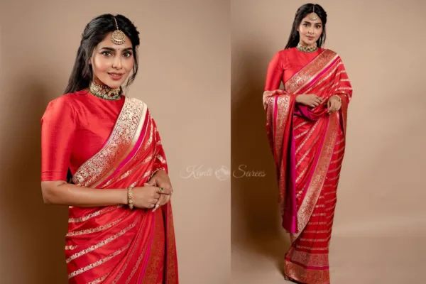 Celebrity High Neck Blouse Designs